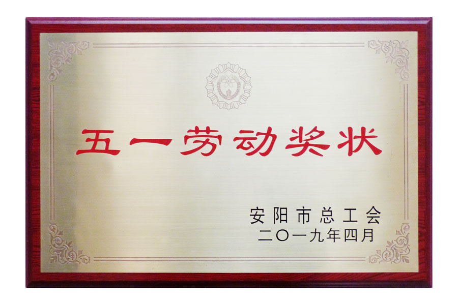 2019安陽市總工會(huì)“五一勞動(dòng)獎(jiǎng)?wù)隆?>
                                <div   id=